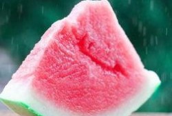 朝阳号外官网免费吃瓜,免费吃瓜盛宴，畅享夏日清凉！